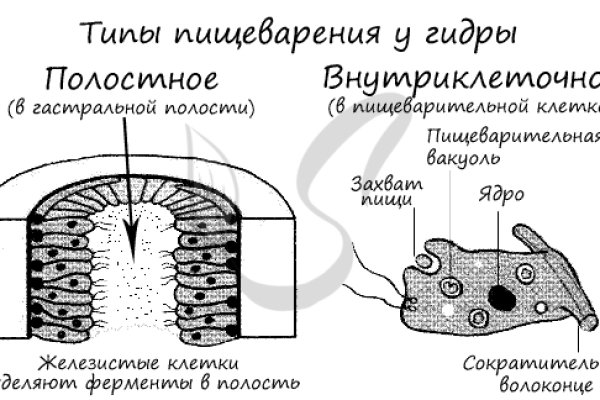 Кракен маркет тор