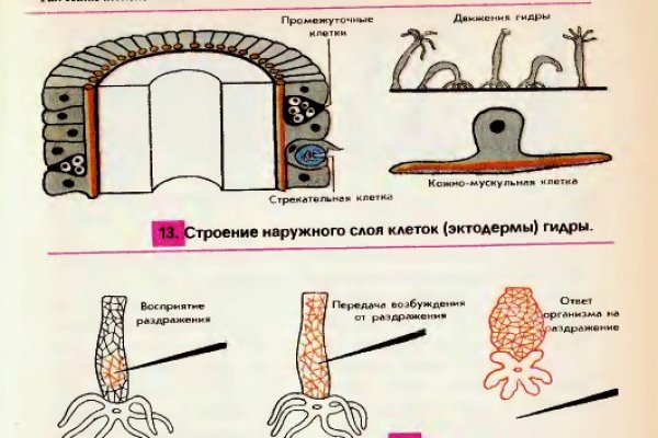 Кракен ссылка kra