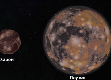 Заказать даркнет
